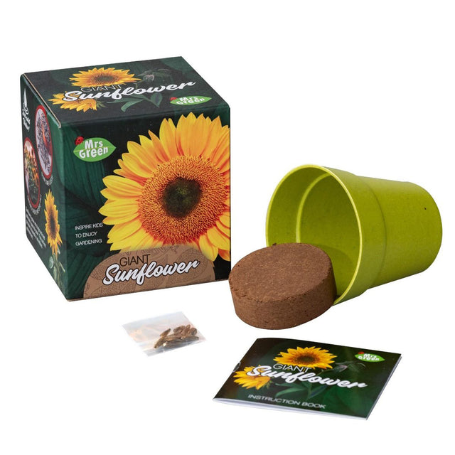 Mrs Green Giant Sunflower Science Gardening Kit