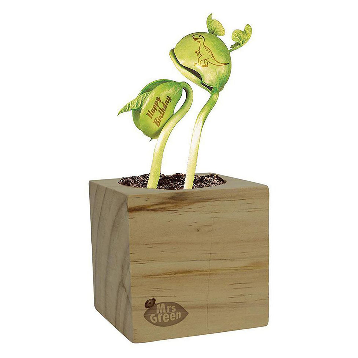 Mrs Green Magic Beans