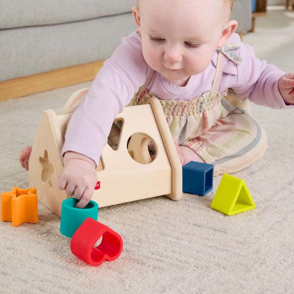 Fisher-Price Wooden Silicone Shape Sorter