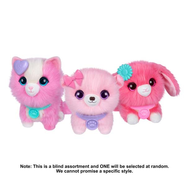 Little Live Pets Scruff-A-Luvs S1 Single Pack Pink