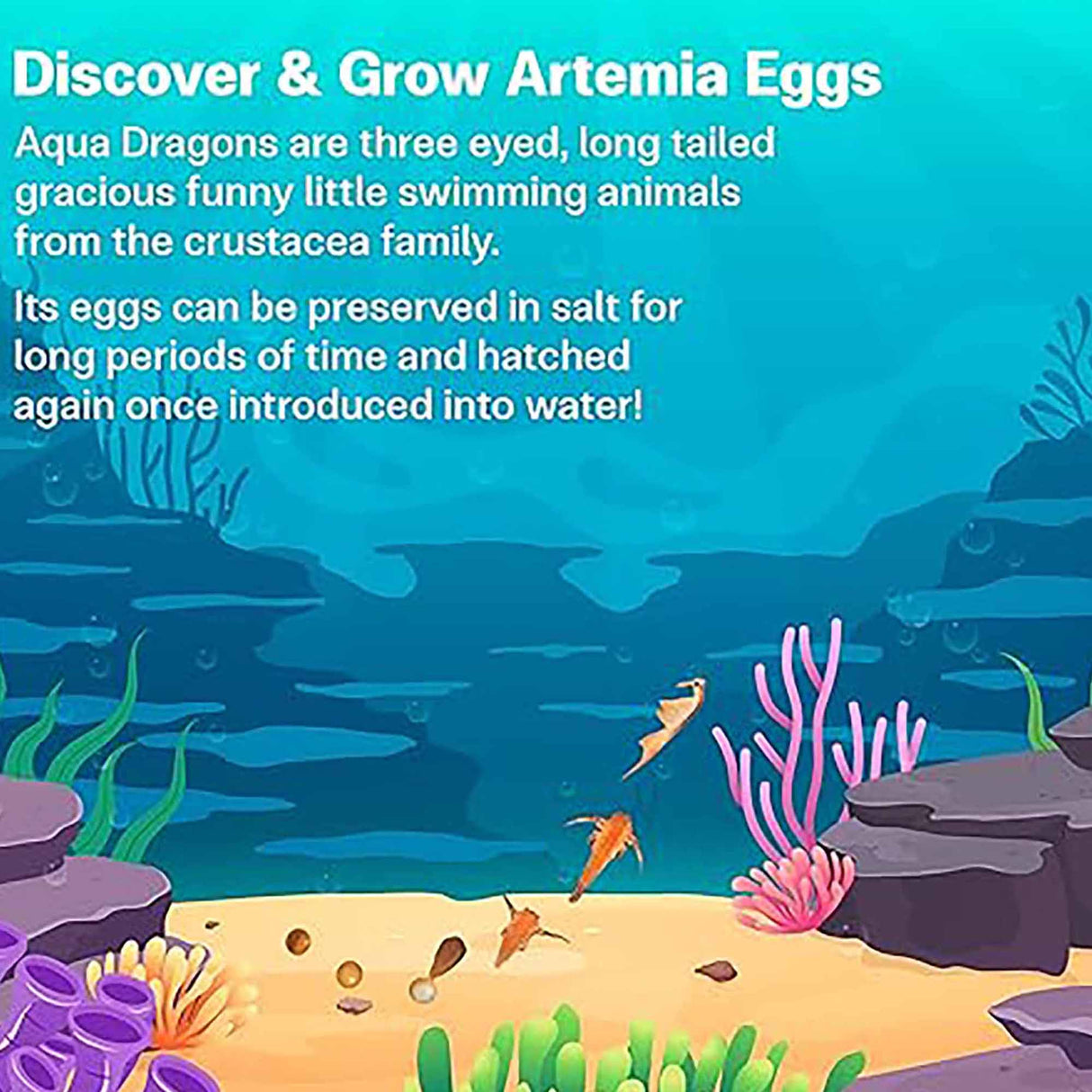 Aqua Dragons Underwater World Box Kit