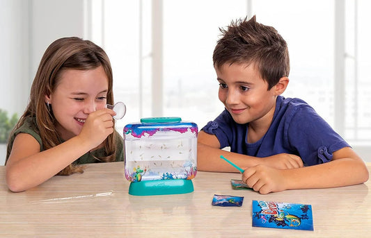 Discovering the Fascinating World of Aqua Dragons