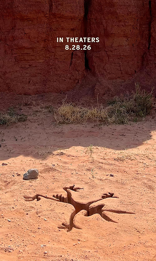 Coyote Vs. Acme