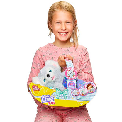 Little Live Pets Cozy Dozys S2 Koala