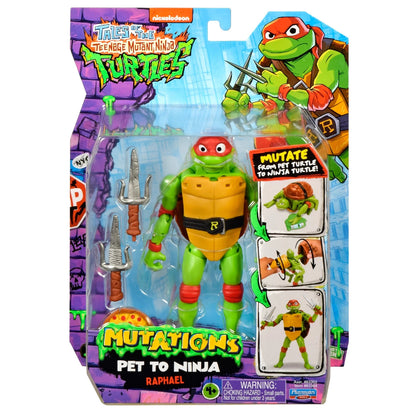 Teenage Mutant Ninja Turtle TV Deluxe Figures Raphael