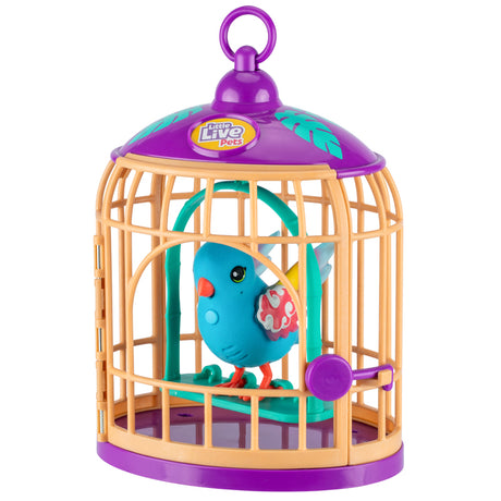 Little live Pets Bird S15 Bird & Cage