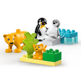 LEGO DUPLO Town Wild Animal Families Penguins & Lions 10442