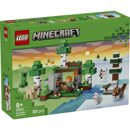 LEGO Minecraft First Night Adventure 21593
