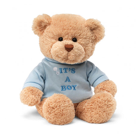 Gund 32cm Message Bear 'It's a Boy' with Blue T-Shirt