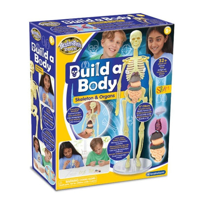 Brainstorm Build a Body