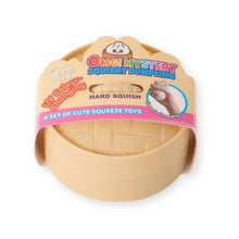 Squishy Mystery UV Colour Change Dumpling Assorted