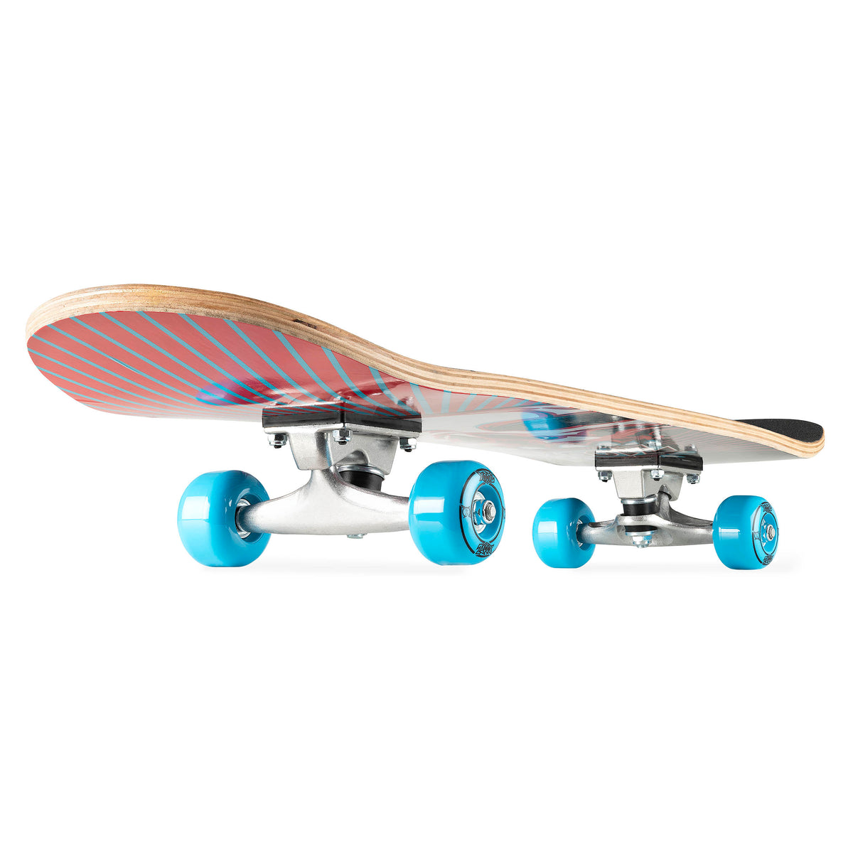 Skateboard complete with printed deck, blue wheels, and silver trucks