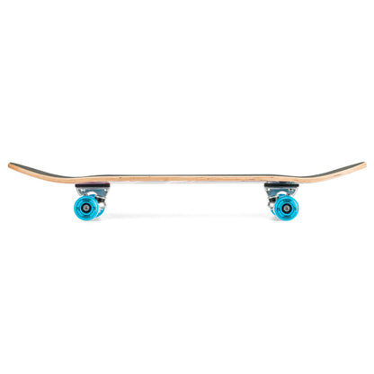 Skateboard underside view with maple deck, silver trucks, and blue wheels