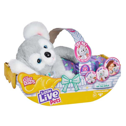 Little Live Pets Cozy Dozys S2 Koala