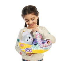 Little Live Pets Cozy Dozys S2 Koala