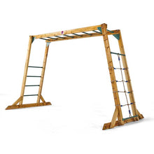 Plum Wooden Monkey Bars