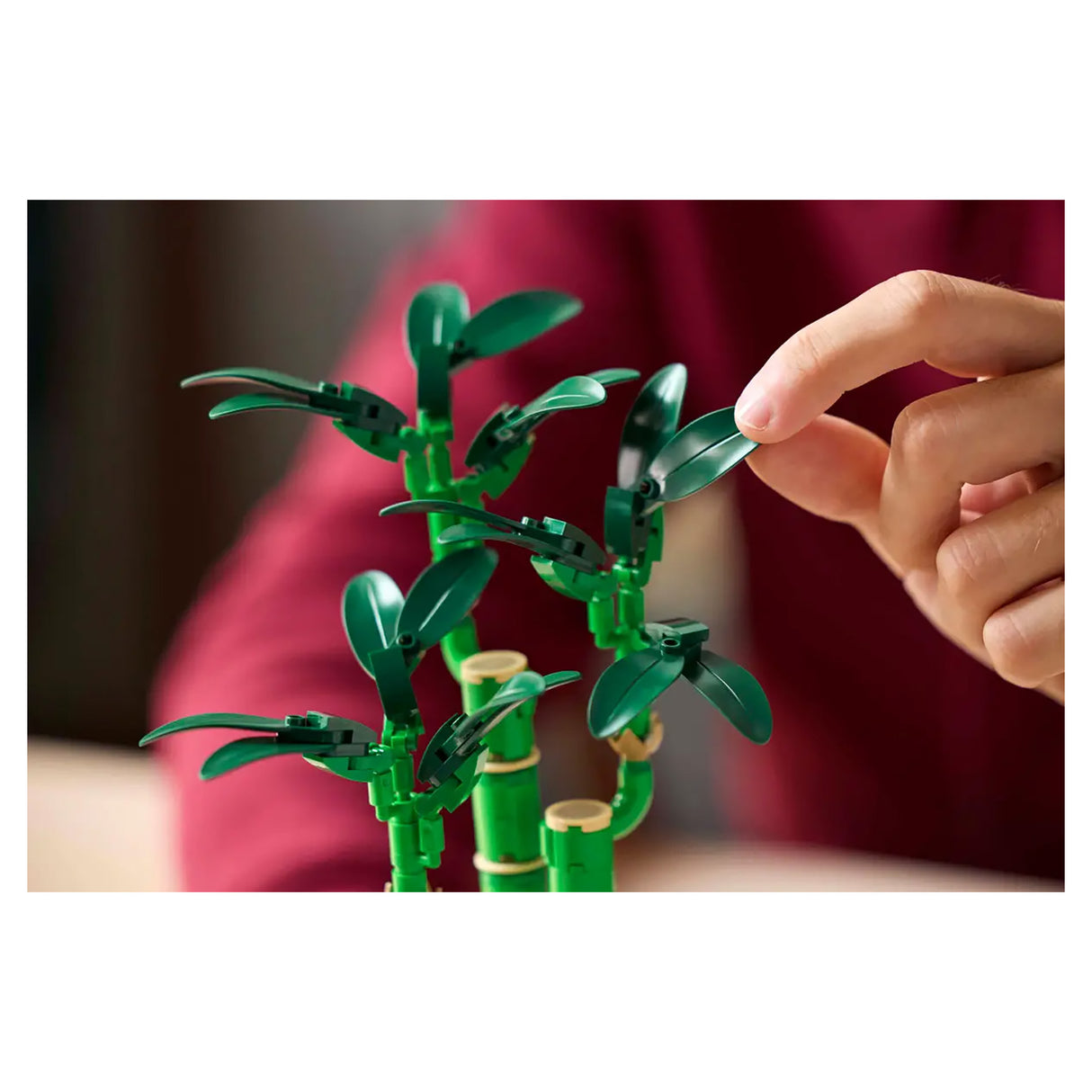 LEGO Botanicals Lucky Bamboo 10344