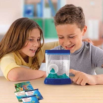 Aqua Dragons Colour Changing Box Kit