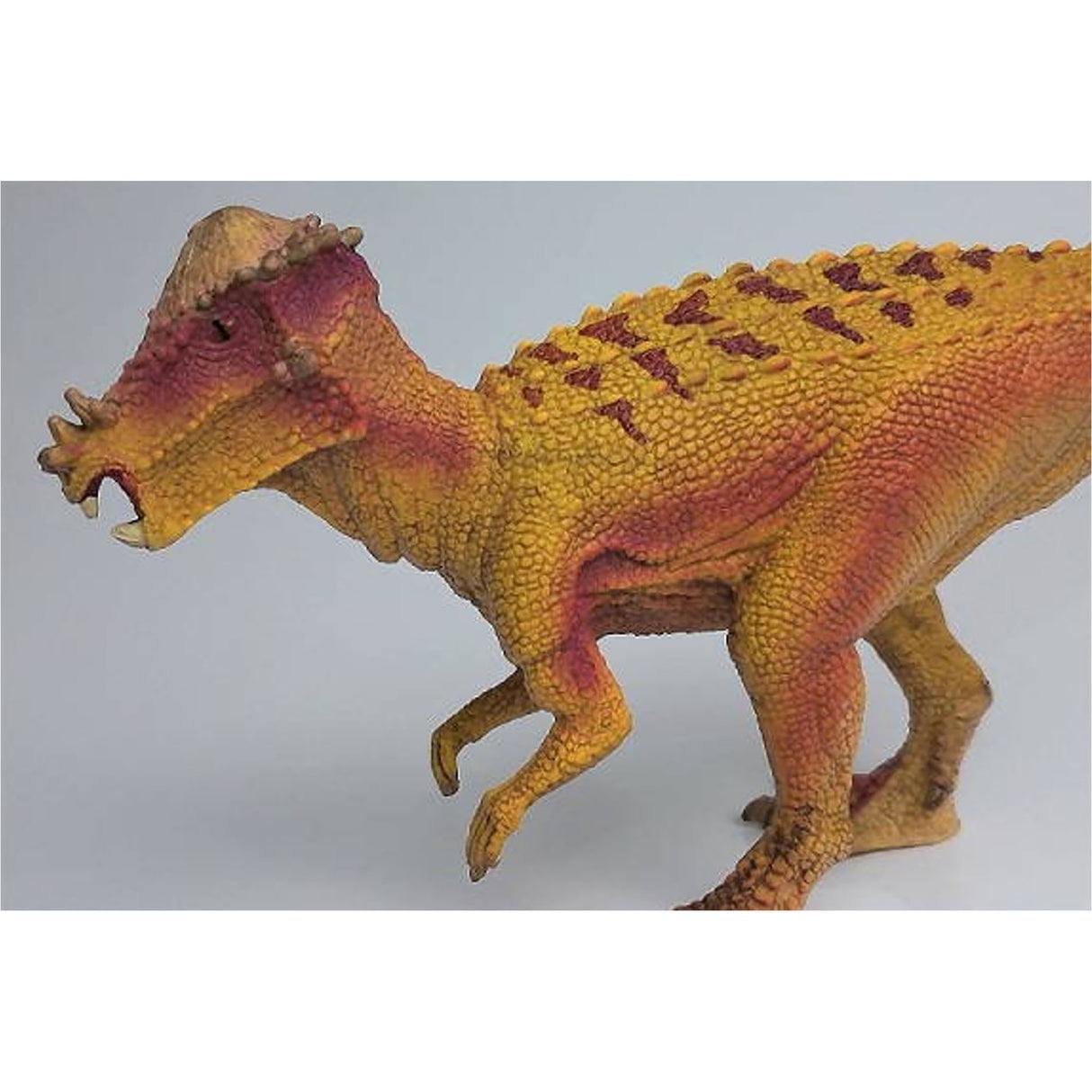 Schleich Pachycephalosaurus Figure