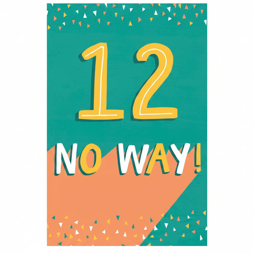 Hallmark 12th Birthday Card 12 No Way! – Toys