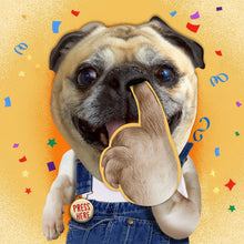 Hallmark Interactive Sound Card Pickin' Dog