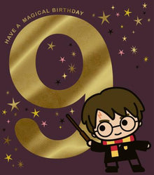 Connections from Hallmark Harry Potter 9th Birthday Greeting Card