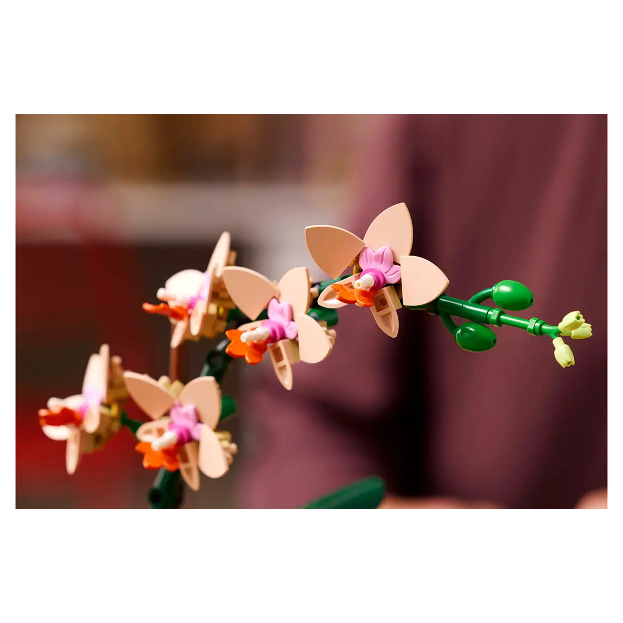 LEGO Botanicals Mini Orchid 10343