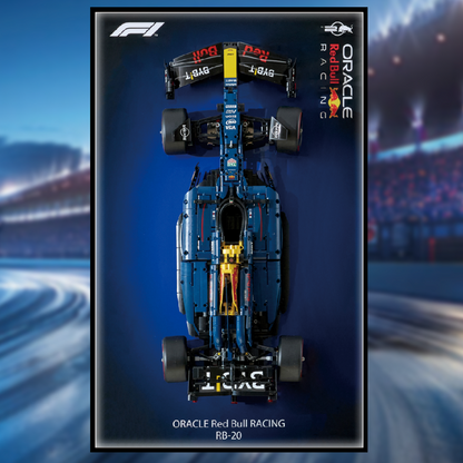 LEGO Technic Oracle Red Bull Racing RB20 42206 & LED Display Frame Bundle