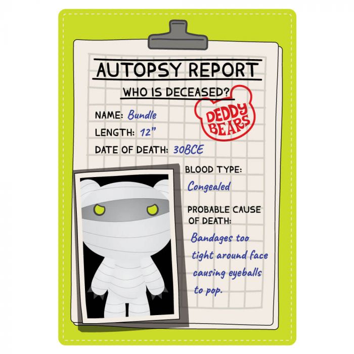 Deddy Bears Bundle Series 1 Plush in Bag