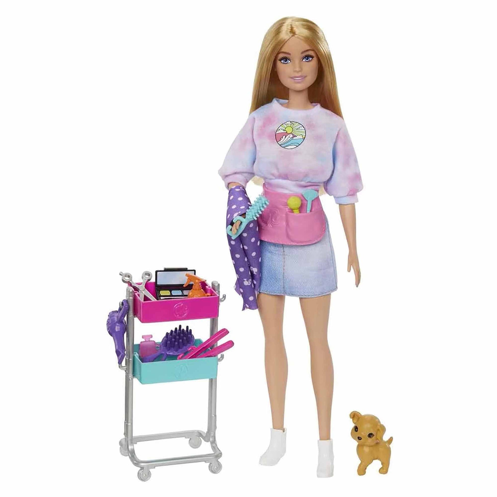 Barbie Malibu Stylist Doll & 14 Accessories Playset