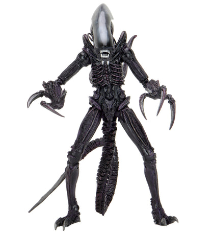 Alien Vs Predator Razor Claws 7" Scale Action Figure