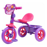 Hyper Extension Paw Patrol Ride-On Trike with Bucket - Skye