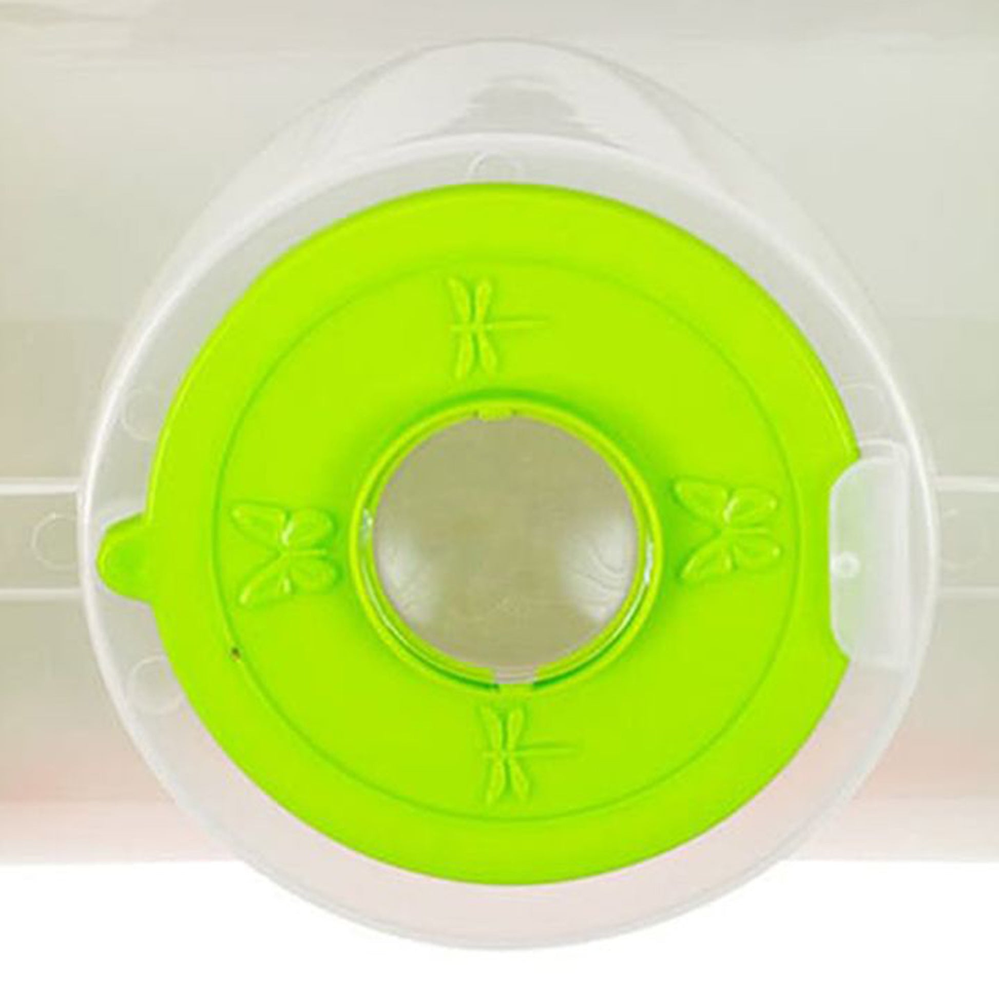 Bugs World Bug Catching Set