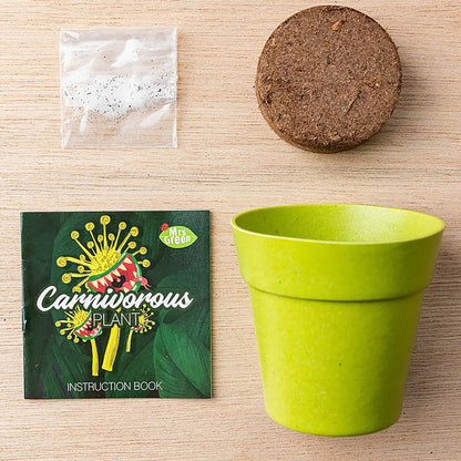 Mrs Green Grow Your own Carnivorous Plant