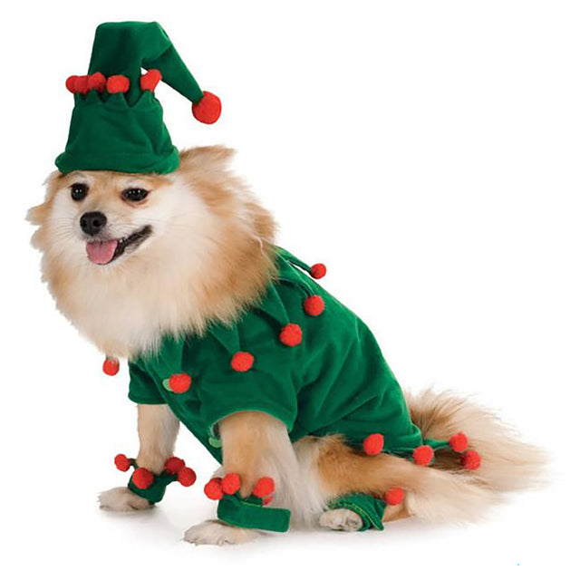 Rubies Elf Pet Costume - Size Large, Green (Large)