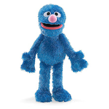 Sesame Street Grover Plush Toy (30 cms)