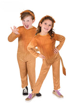 Lion Costume