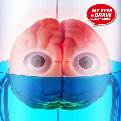 Robo Alive Brain The Brain