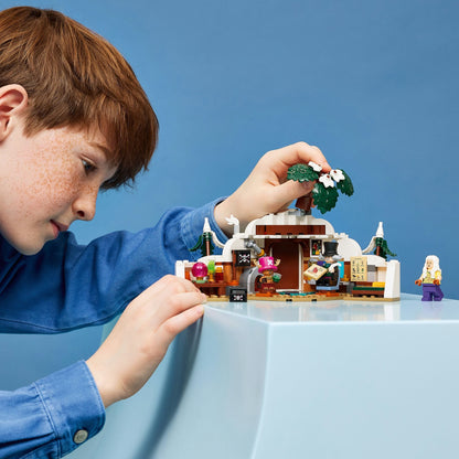 LEGO One Piece Dr. Hiriluk's Hideout 75641