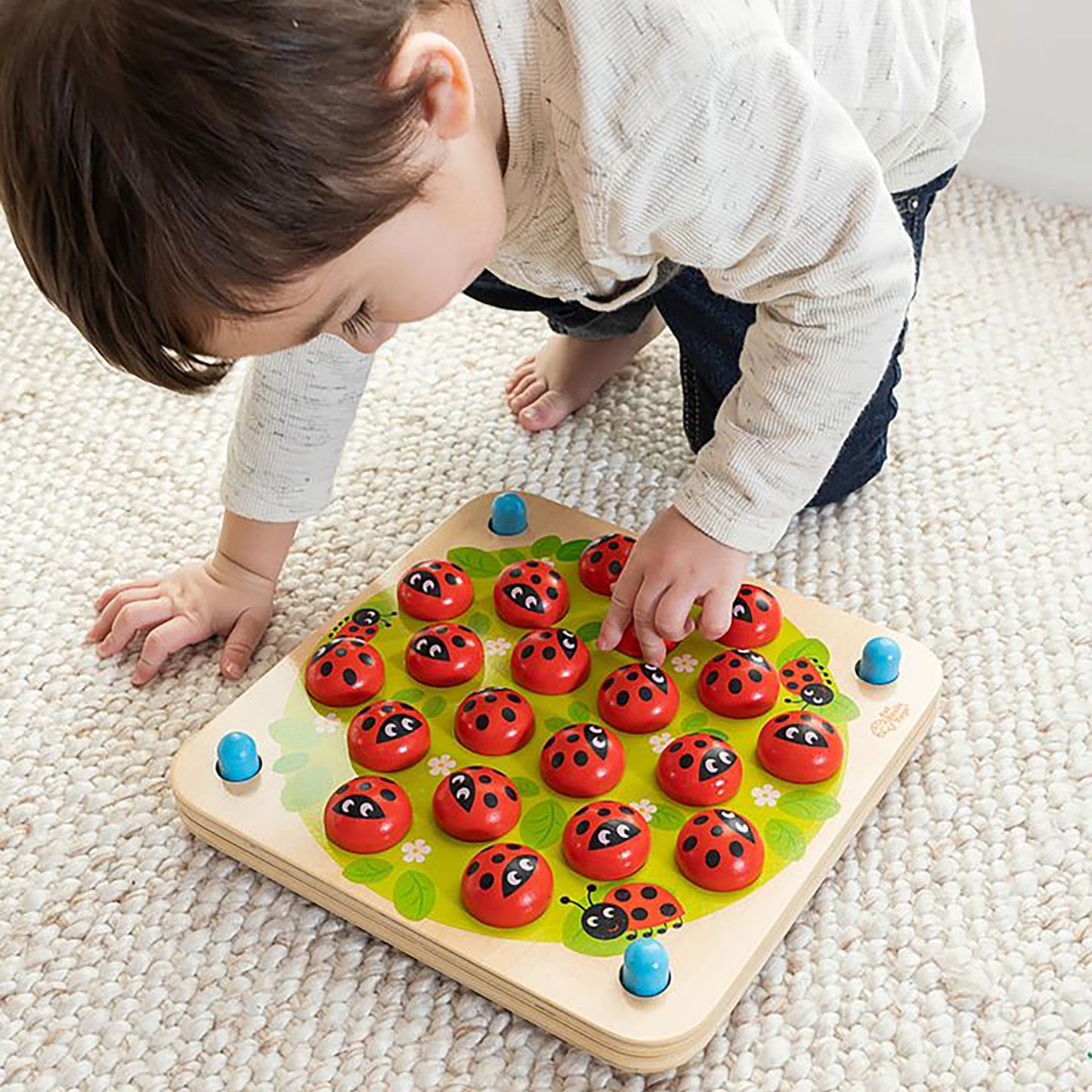 Fat Brain Ladybug's Garden Memory Game