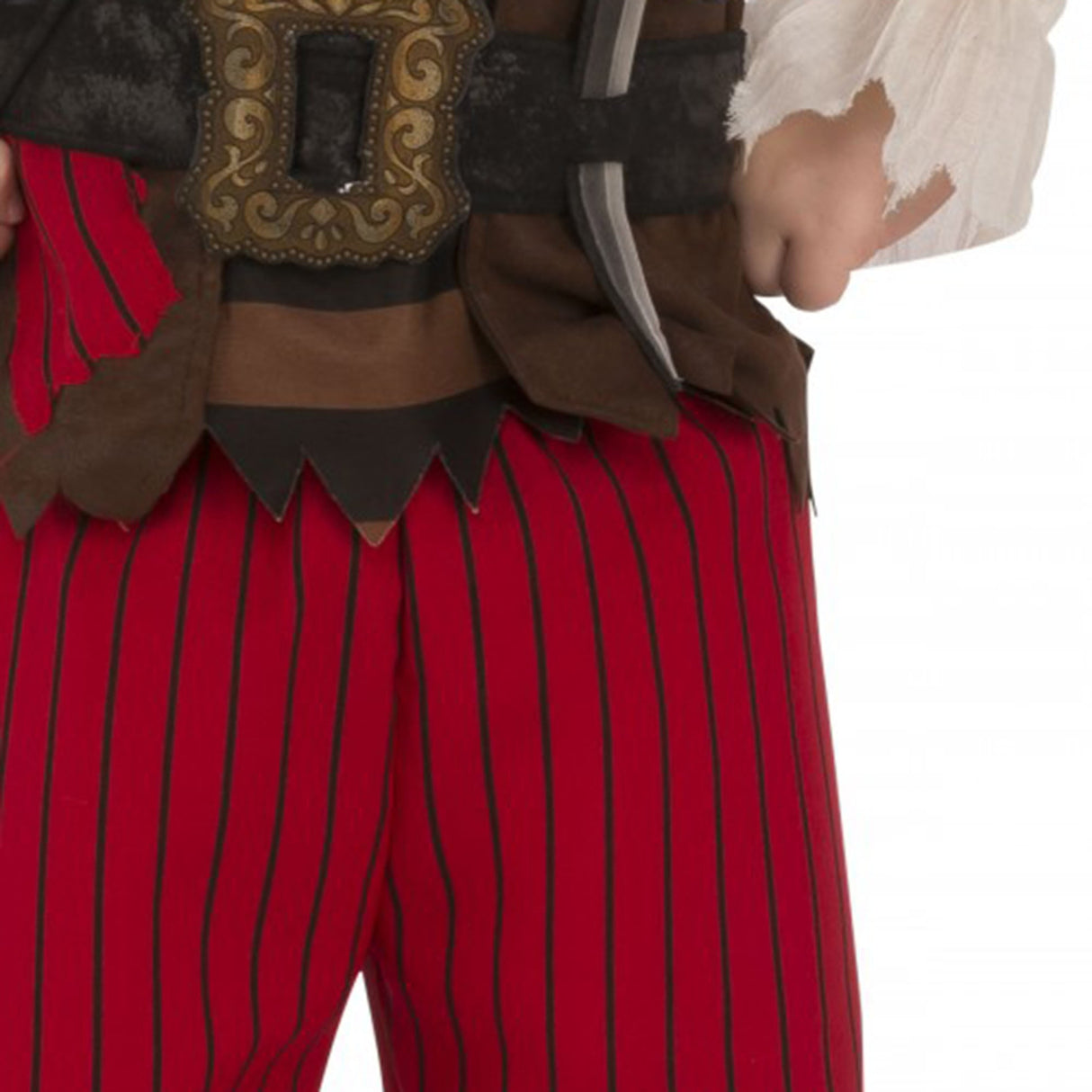 Pirate Matey Child's Costume