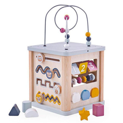Bigjigs Toys FSC Activity Cube