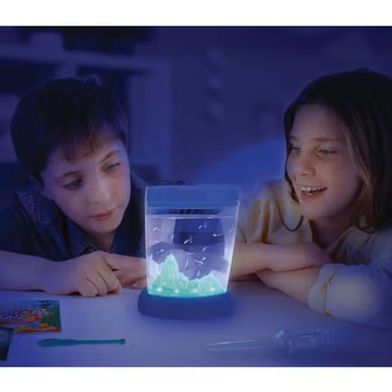 Aqua Dragons Colour Changing Box Kit with LED Lights