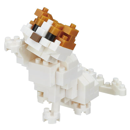 Nanoblock Cat Breed Scottish Fold Building Blocks Toy (120 pieces)