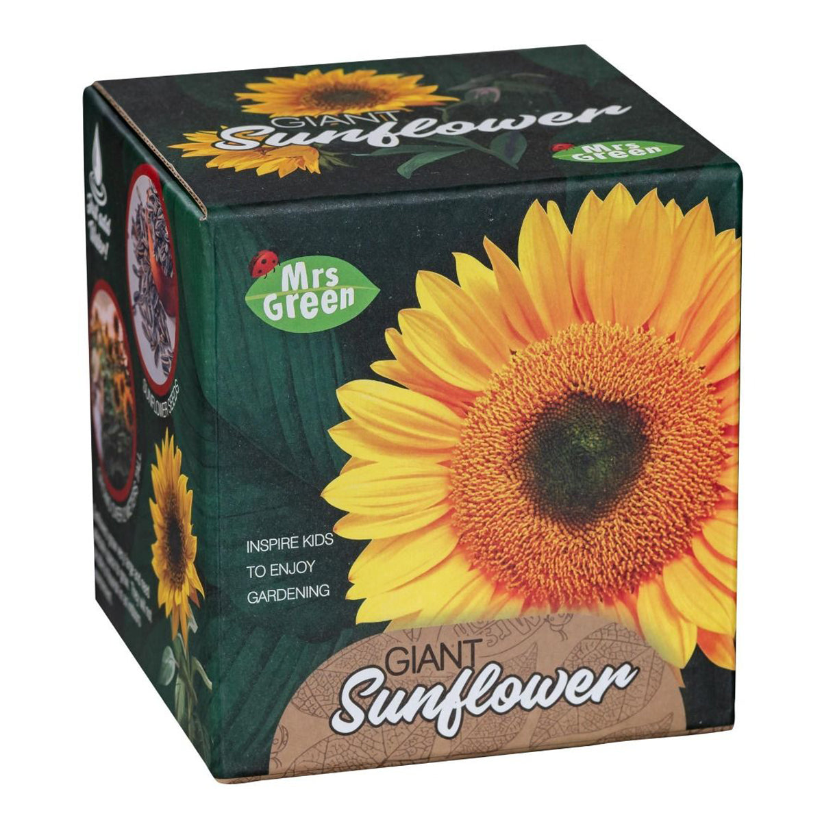 Mrs Green Giant Sunflower Science Gardening Kit