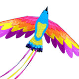 WH Kites coloursful Phoenix Kite