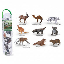 Collecta Wild Animals Set 3 12 Piece