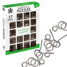 Puzzle Master 17 Metal Puzzles