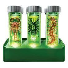 4M KidzLabs Glow Critter Lab
