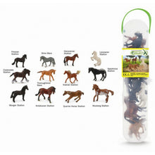 Collecta Horses 12 Piece